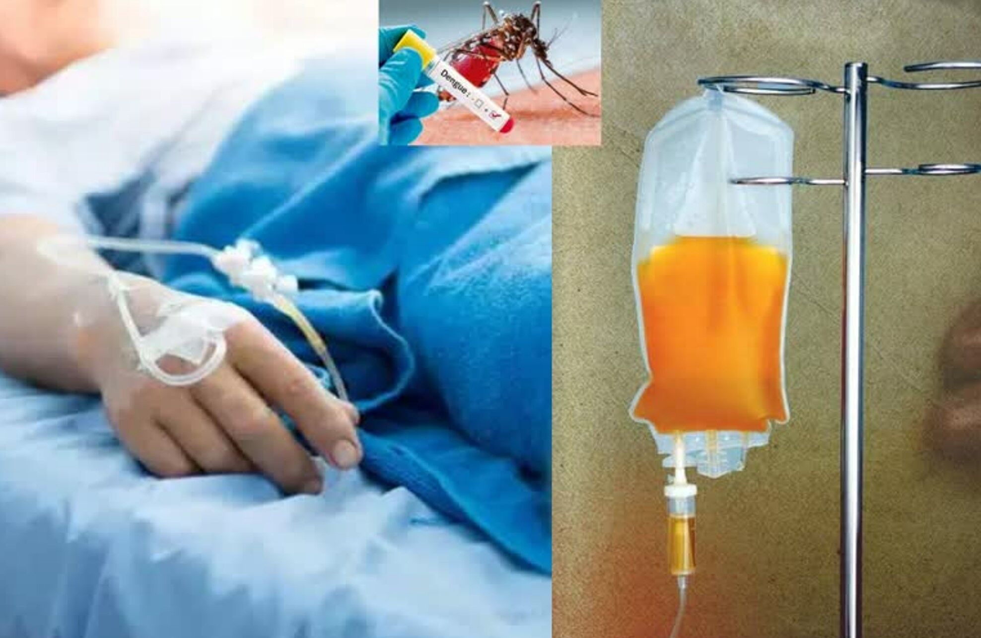 Prayagraj News: प्रयागराज में डेंगू मरीज की मौत मामले में चौंकाने वाला खुलासा, जानिए क्या चढ़ाया गया था