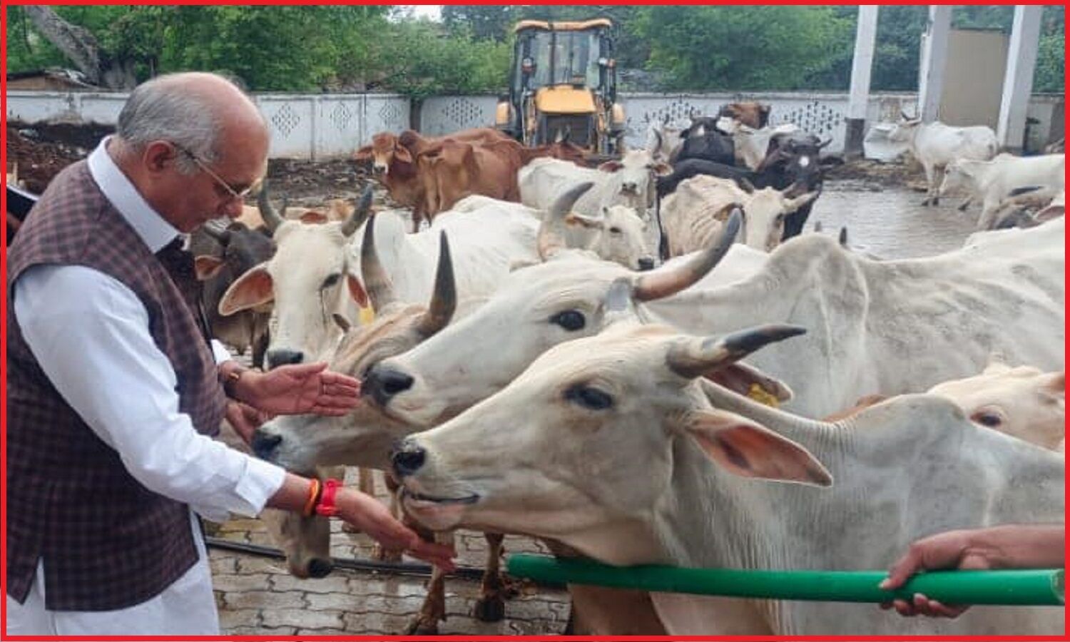 योगी के मंत्री धर्मपाल सिंह को गौमूत्र में दिखता है गंगा का वास, छिड़काव से सब समस्याएं रफूचक्कर होने का किया दावा