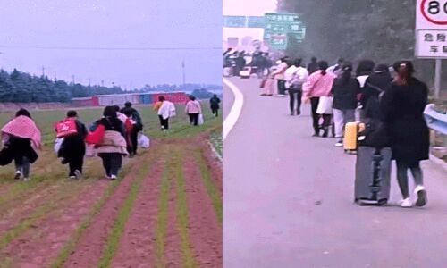 China Lockdown : चीन में सख्त कोविड लॉकडाउन, iPhone फैक्ट्री से पैदल घर भाग रहे कर्मचारी