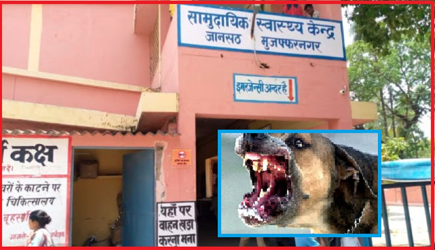 कुत्तों ने नोच डाला दुर्घटना में मौत का शिकार हुए युवक का शव, मुजफ्फरनगर के अस्पताल की मोर्चरी में रखी थी डेडबॉडी