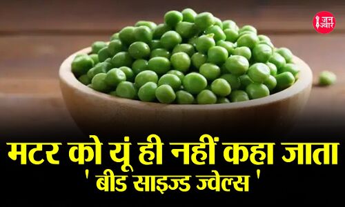 हरे मटर को कहा जाता है बीड ऑफ साइज्ड ज्वेल, पर इसका ज्यादा सेवन बीमारियों को देती है दावत