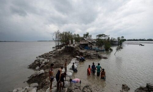 इंसानों की बढ़ती जरूरतों को पूरा करने के लिए वनों का अत्यधिक दोहन सुंदरवन की मुख्य समस्या, अवैध लकड़हारे कर रहे जंगल के अंदरूनी हिस्सों में घुसपैठ