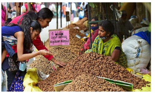 Why eat Peanuts, Peanuts, Health News, Winter season, Peanuts popularly Known as cheap almonds, w