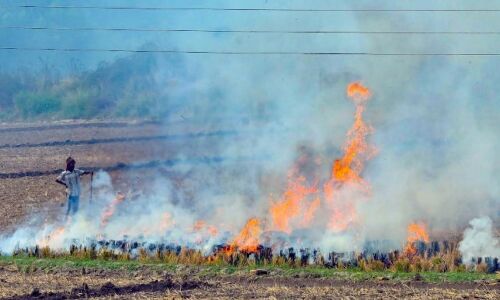UP : पराली जलाने को लेकर 9 किसानों को मिला नोटिस, रोकी गई PM किसान सम्मान निधि की रकम
