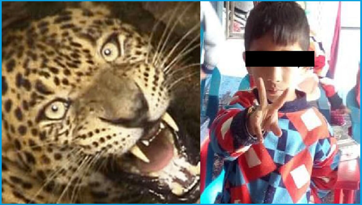 खेलकर घर लौट रहे 5 साल के मासूम पर आदमखोर गुलदार ने हमला करके ले ली जान, पौड़ी जिले के पाबौ ब्लॉक में हुई घटना