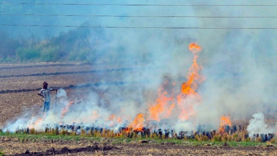 DM गोरखपुर ने पराली जला रहे 24 किसानों पर की कार्रवाई, लिस्ट जारी कर सेटेलाइट से पहचान का किया दावा