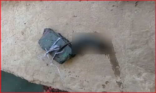 UP के बदायूं में चूहे के कत्ल के आरोप में युवक गिरफ्तार, पशुप्रेमी की तहरीर पर मामला दर्ज और पोस्टमार्टम