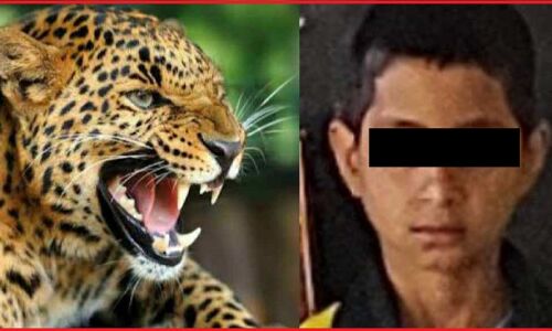 अब टिहरी में 12 साल का बच्चा बना गुलदार का निवाला, खेलकर घर लौटते समय किया आदमखोर ने हमला, रात ढाई बजे मिली लाश