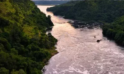 Dehradun News: तीन सरकारें मिलकर भी नहीं बना सकीं 50 मीटर पुल, लकड़ी के पुल से नदी पार करने के प्रयास में मां-बेटा समाये पिंडर नदी में, महिला का शव बरामद पुत्र लापता