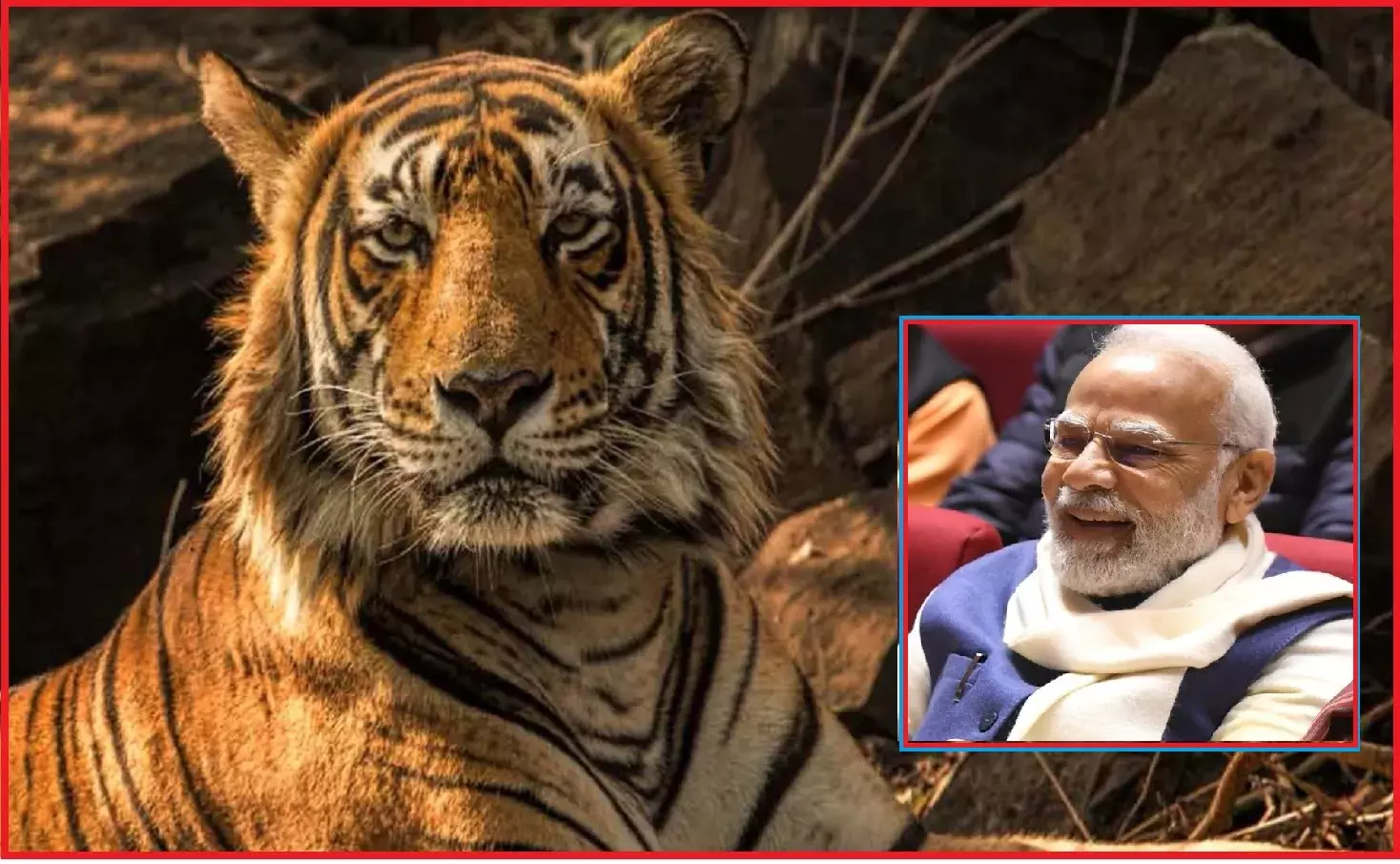 PM मोदी के ड्रीम प्रोजेक्ट टाइगर सफारी घपले का आरोपी पूर्व DFO गया जेल, कॉर्बेट नेशनल पार्क में जमकर की थी अंधेरगर्दी-रेंजर पहले से जेल में