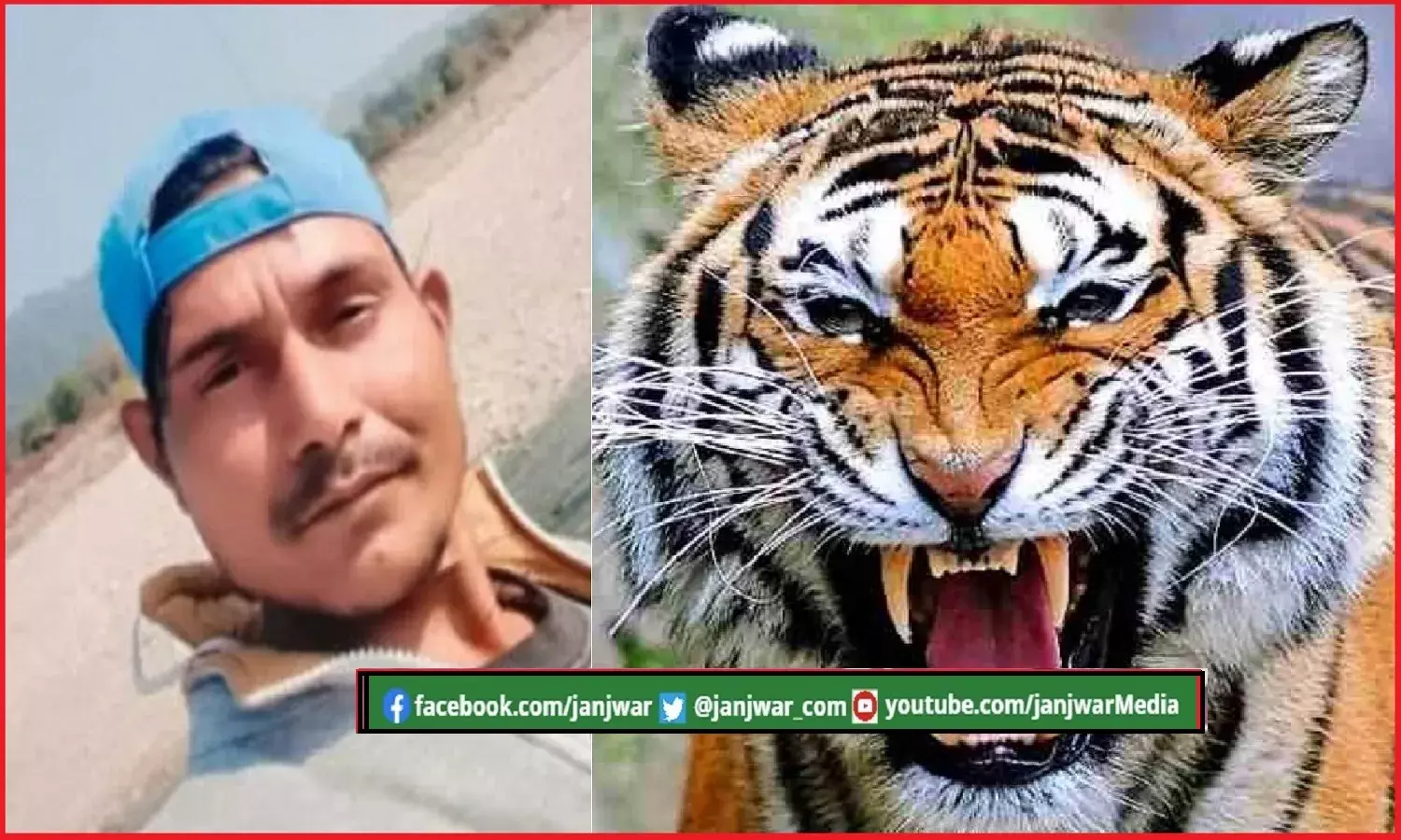 जिम कॉर्बेट से बरामद हुई आदमखोर बाघ के शिकार बने युवक की अधखायी लाश, दारूबाज साथियों के खिलाफ वन विभाग ने फॉरेस्ट एक्ट में दर्ज किया मुकदमा