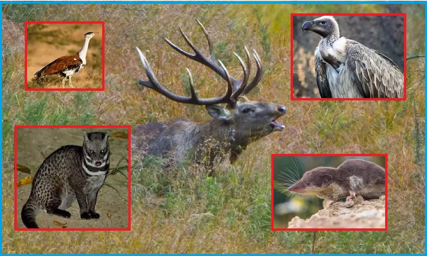 गरीबी, जलवायु संकट से निपटने पर आम सहमति के लिए वैश्विक नेता होंगे पेरिस में एकत्रित