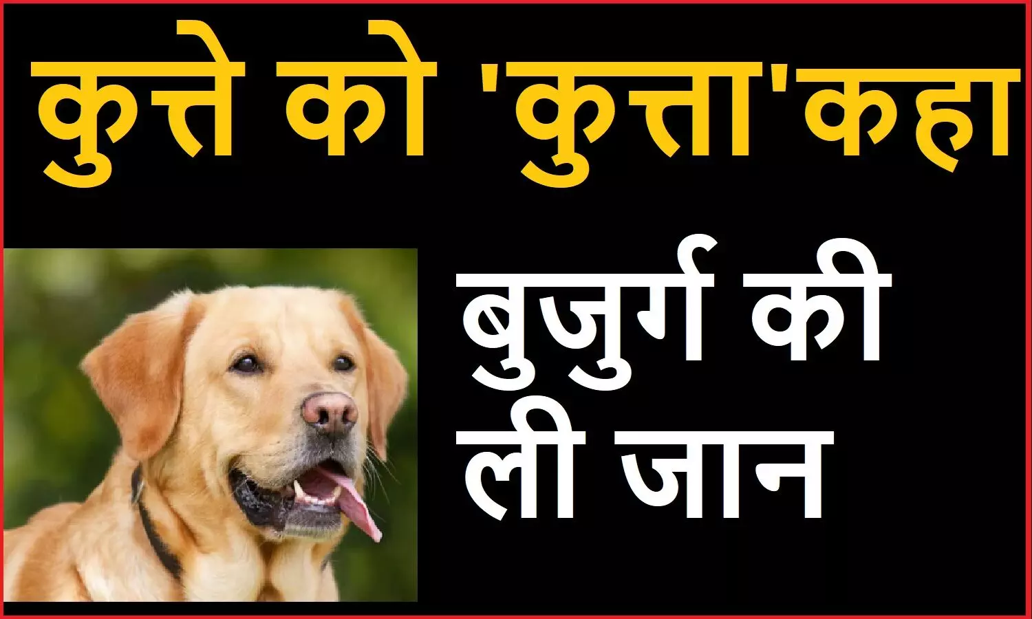 पड़ोसी बुजुर्ग ने कुत्ते को कुत्ता कह दिया तो युवक ने उतार दिया मौत के घाट, तमिलनाडु के डिंडीगुल की है घटना