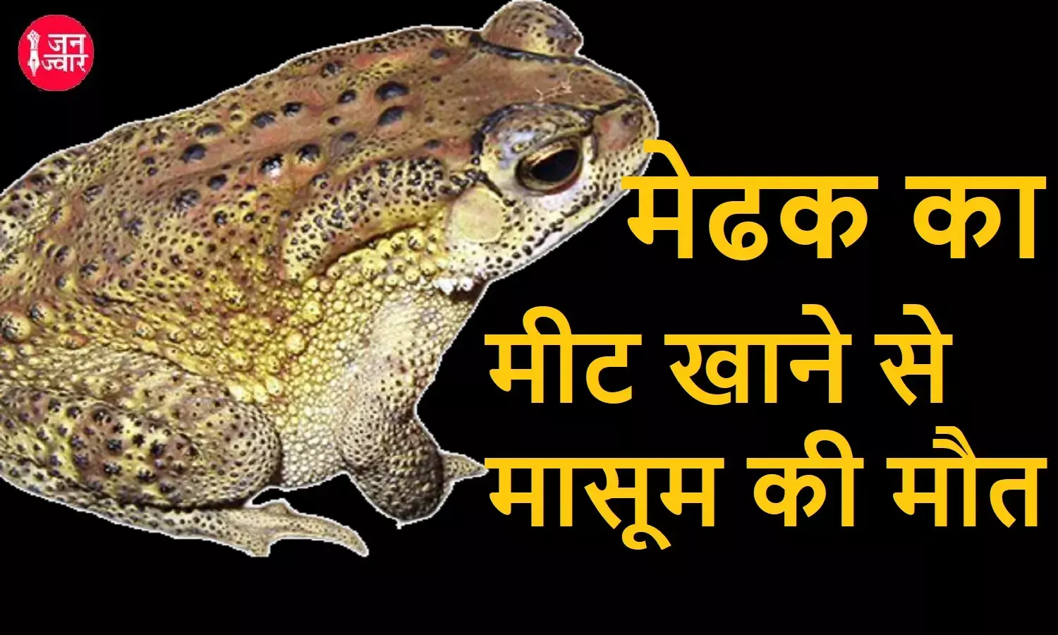 ओडिशा के क्योंझर में आदिवासी शख्स ने अपने मासूम बच्चों को खिलाया मेढक का मांस, एक की मौत- दूसरे की हालत गंभीर