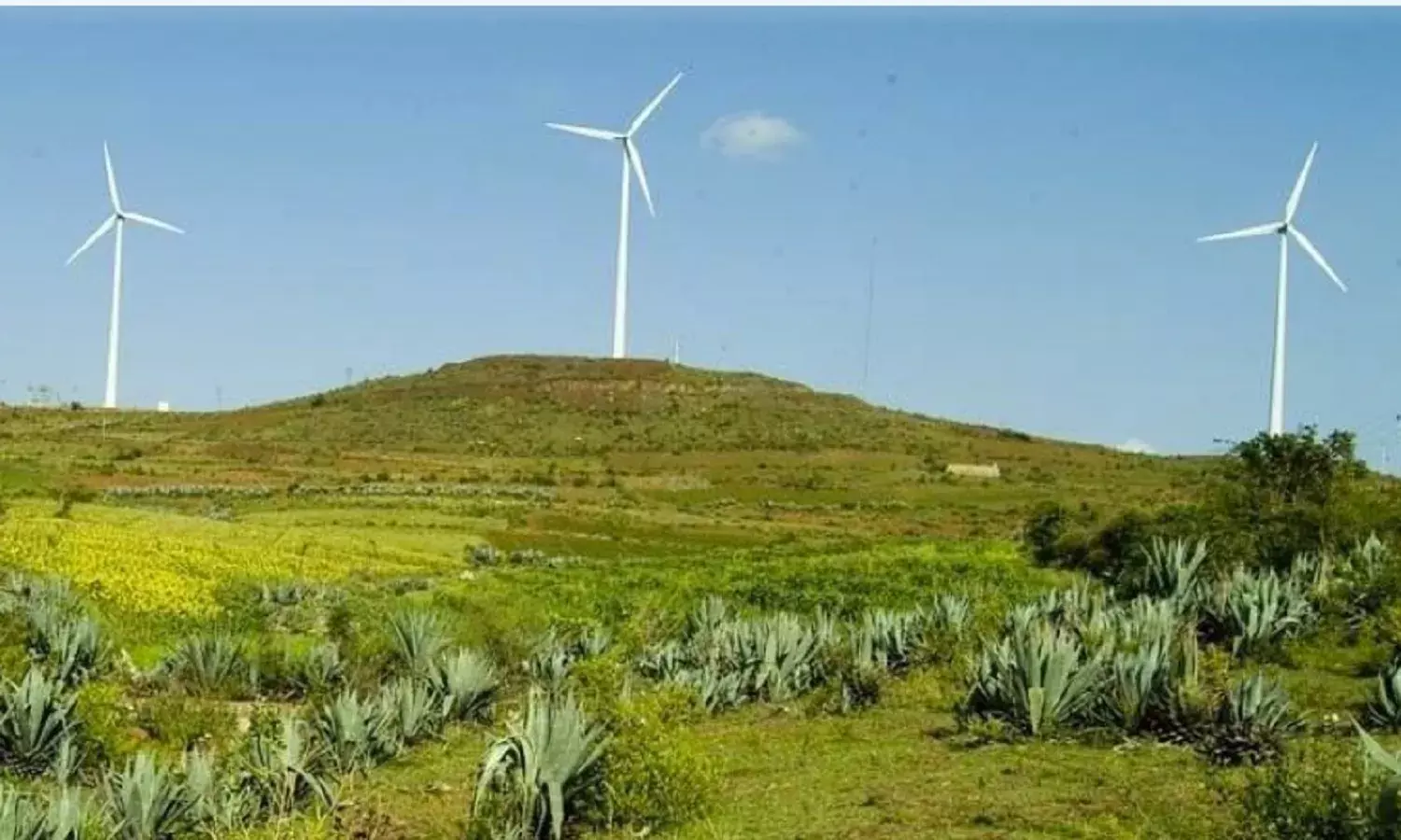 विंड एनर्जी इंडस्ट्री में 2027 तक भरपूर नौकरियों की उम्मीद, पड़ेगी 574000 अतिरिक्त टैक्निकल स्टाफ की जरूरत