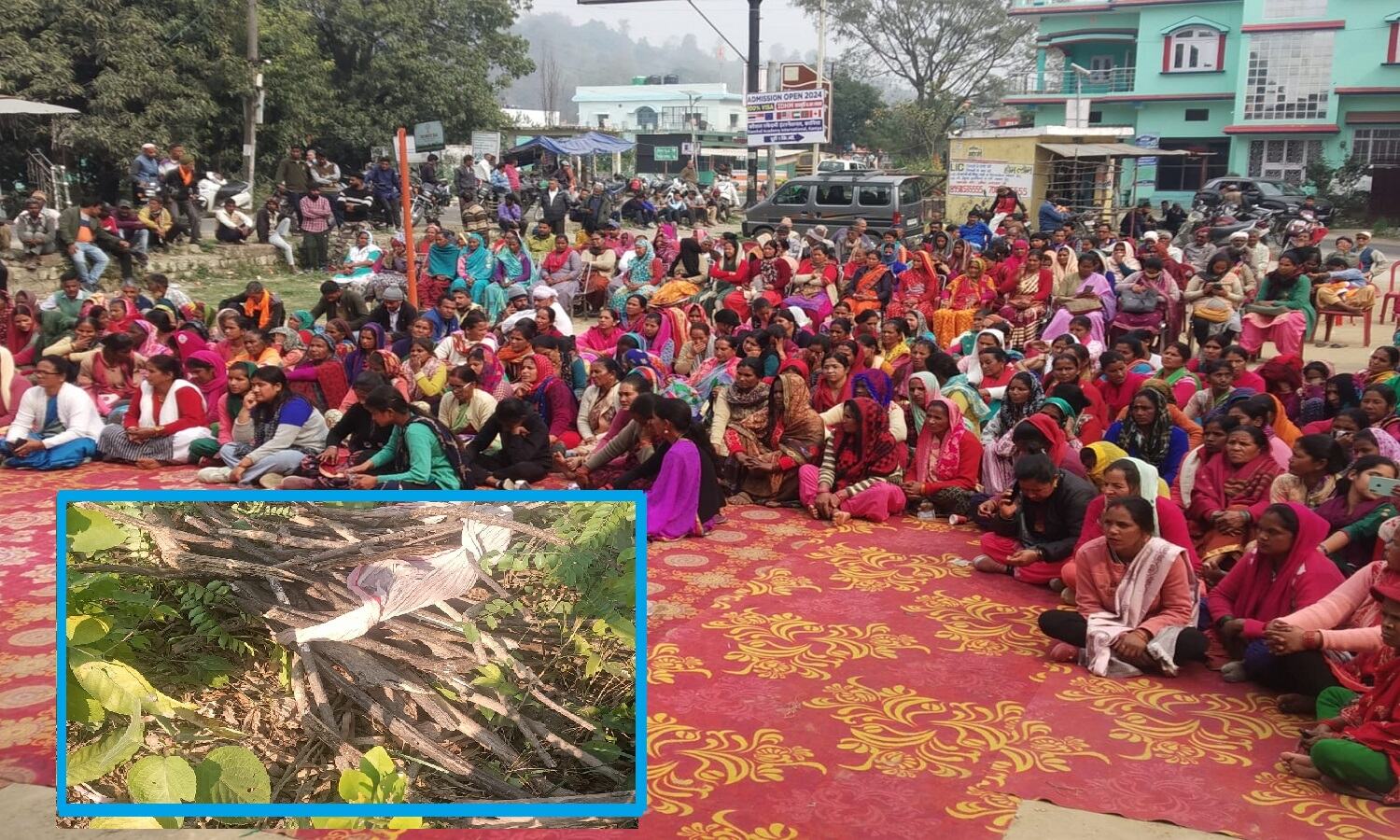 लकड़ी बीन रही महिला को जंगल में घसीट ले गया आदमखोर, क्षत-विक्षत शव बरामद, गुस्सायी जनता ने की बाघ को पकड़ने-मारने की धामी सरकार से मांग