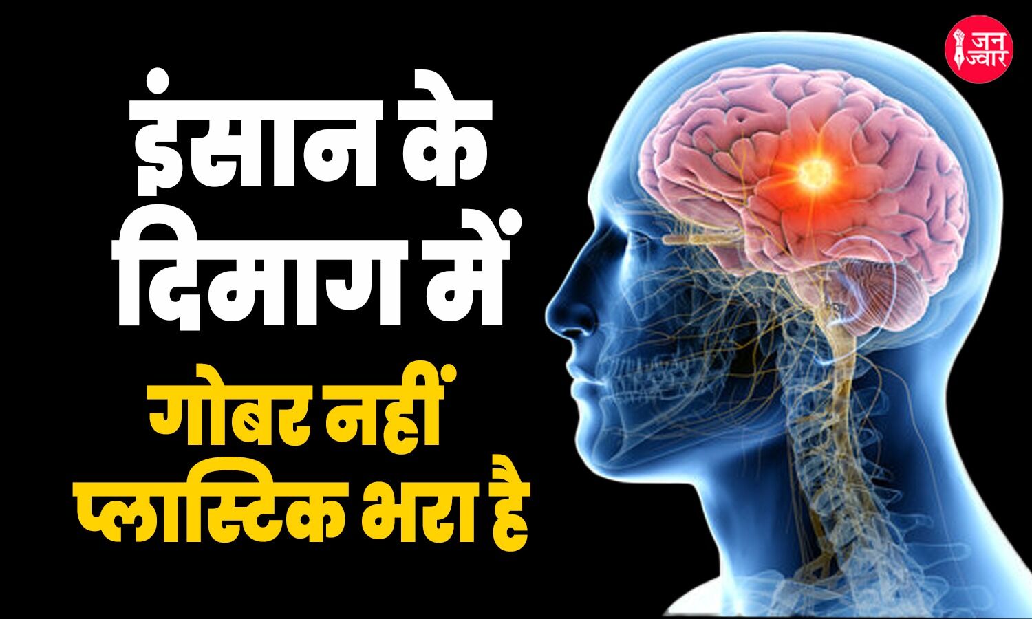 मानव के सबसे सुरक्षित अंग दिमाग में भारी मात्रा में भर रहा है प्लास्टिक, वैज्ञानिकों ने किया चौंकाने वाला खुलासा