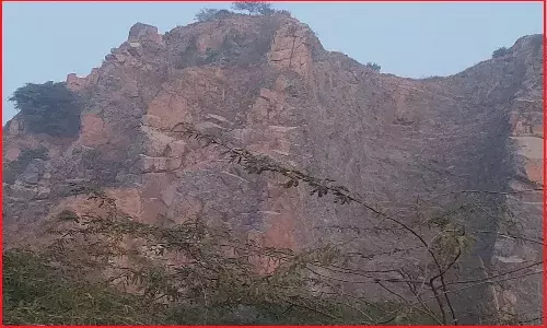 यह विकास नहीं है मेरे बच्चो! यह मुनाफ़े के लालच की इंतहा है, जहाँ सेठों की तिजोरियाँ मेरी मौत से भरनी हैं और तुम्हें साँसों से महरूम करना है...