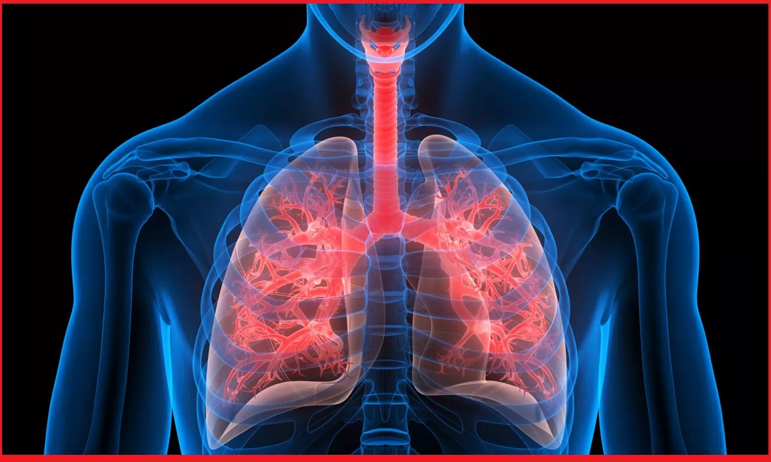 फेफड़े का संक्रमण और खांसी जो जल्दी ठीक नहीं हो रही तो इन लक्षणों को बिल्कुल न करें नजरंदाज, एक्सपर्ट डॉक्टर से जानिए उपाय !