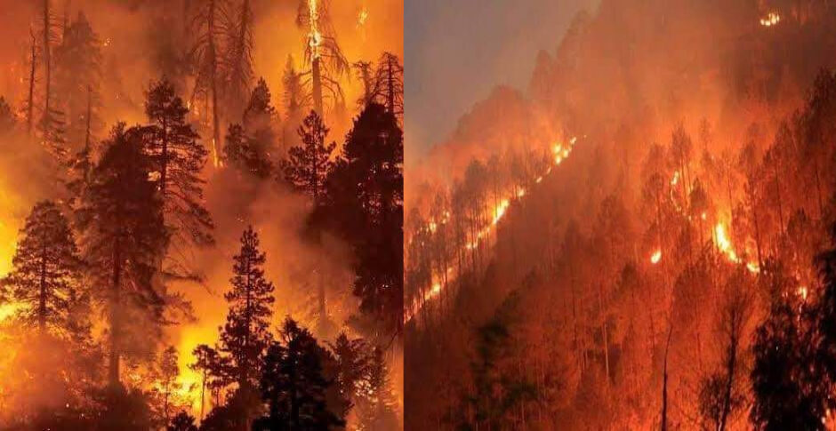 उत्तराखंड के जंगलों में भड़की भीषण आग, न मीडिया को खबर न सरकार को चिंता