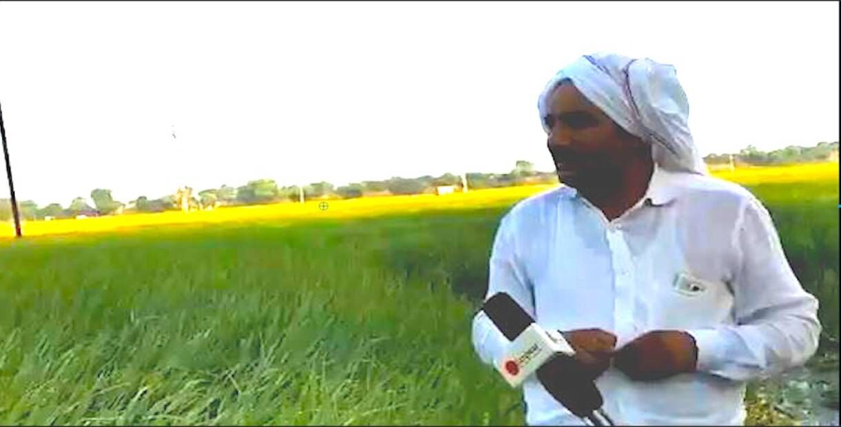 अभी धान की फसल खेत में खड़ी है और केजरीवाल ने दिल्ली में बढ़े प्रदूषण के लिए दोषी ठहरा दिया हरियाणा के किसानों को
