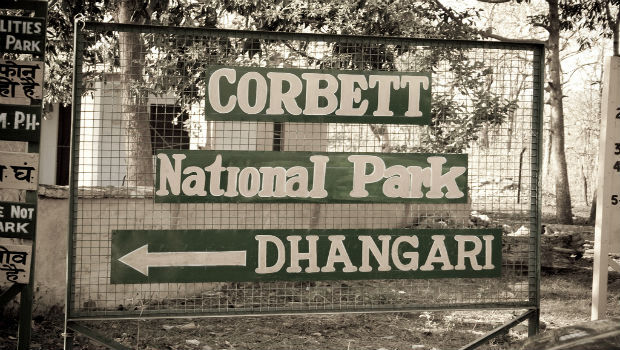 सरकार ने अदालत को बताया जिम कार्बेट पार्क क्षेत्र में 44 रिसोर्ट और होटल वालों का अतिक्रमण
