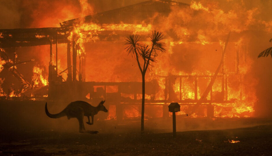 ऑस्ट्रेलिया के जंगलों में आग लगने से एक अरब से ज्यादा जानवरों की मौत