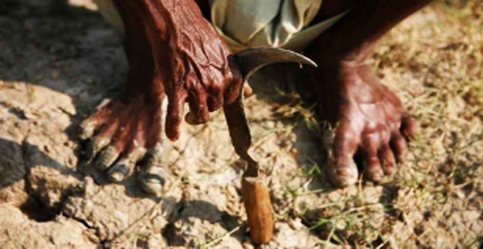 बुंदेलखंड : फसल कटाई के लिए मजदूर न मिलने पर किसान ने लगाई फांसी
