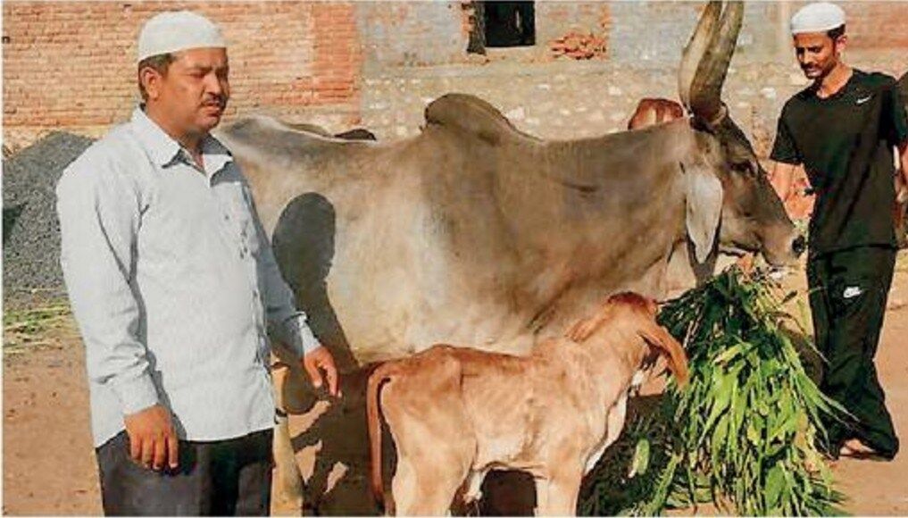 भारत में मुस्लिम होने से अच्छा है गाय होना