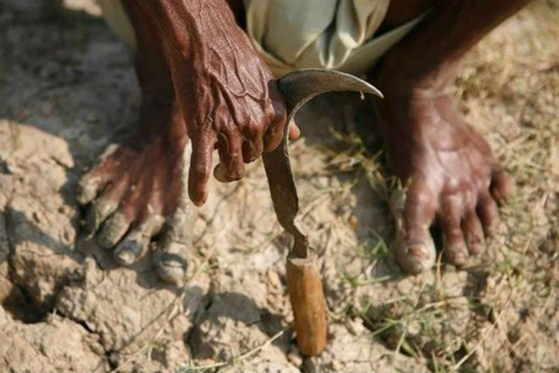 UP : बसपा नेता-दलित किसान ने आत्महत्या से पहले SDM और कानूनगो पर लगाये गंभीर आरोप, बताया अपनी मौत का जिम्मेदार
