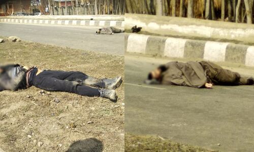 कश्मीर के लावायपोरा में गोलाबारी में सीआरपीएफ ने मार गिराए दो आतंकवादी, एक जवान शहीद