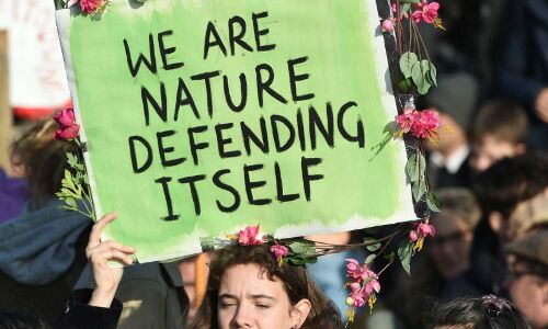 विशेष : इतने बड़े पैमाने पर प्रजातियों का विलुप्तीकरण इंसान के लिए जलवायु परिवर्तन से भी बड़ा खतरा