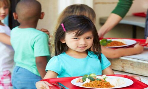 हर साल एक मनुष्य खा जाता है सवा लाख प्लास्टिक के टुकड़े