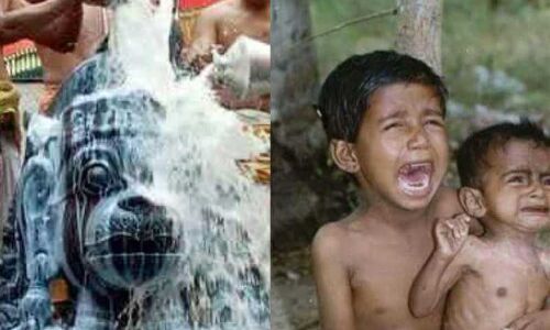 अभाव के कारण नहीं बर्बादी के चलते नहीं मिलता बच्चों को दूध