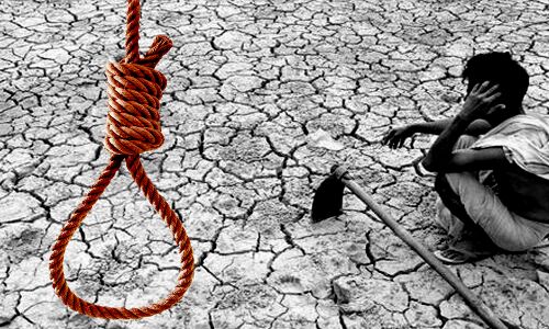 महाराष्ट्र : कर्ज चुकाने के लिए नोटिस दे रहे हैं बैंक, आठ किसानों ने आत्महत्या की