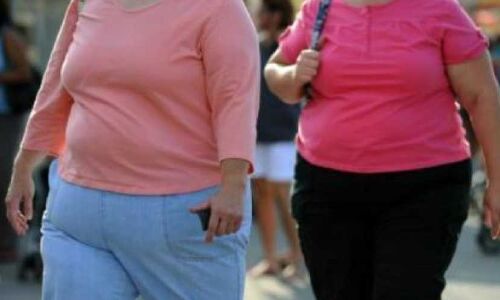 ट्रैफिक का शोर झेल रहे लोग हो रहे मोटापे का शिकार