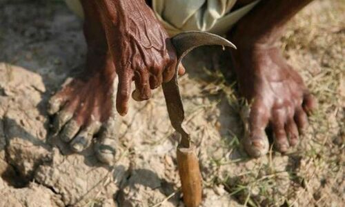 और कर्ज-फसल तबाही की भेंट चढ़ गया गरीब किसान ब्रजमोहन