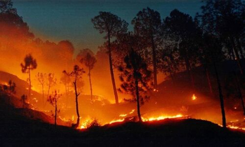 उत्तराखण्ड के जंगल धधक रहे हैं इन दिनों