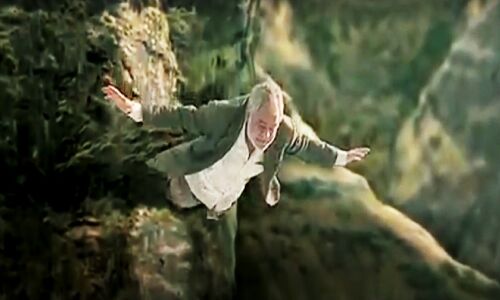 क्या दो पंखों के बगैर, केवल दाएं से या केवल बाएं से, उड़ना संभव है?