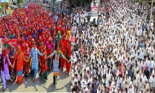 आवारा पशुओं के आतंक के खिलाफ जबर्दस्त आंदोलन, किसानों ने कहा गौरक्षा के नाम पर बंद करो फर्जीवाड़ा