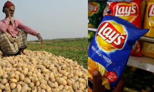 पेप्सी ने गुजरात के किसानों पर लगाया था 4.20 करोड़ का जुर्माना, आंदोलन के दबाव में फिलहाल लिया वापस