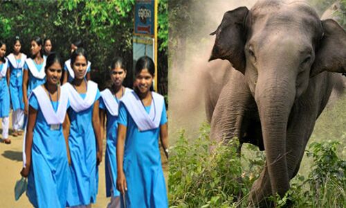 हाथियों के हमले से दो लोगों की मौत के बाद बंद किए गये ओड़िशा के 600 स्कूल