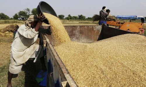 बिहार सरकार के गेहूं खरीद के वादे का बीत गया एक महीना लेकिन छपरा के 16 प्रखंडों में नहीं खरीदा गेहूं