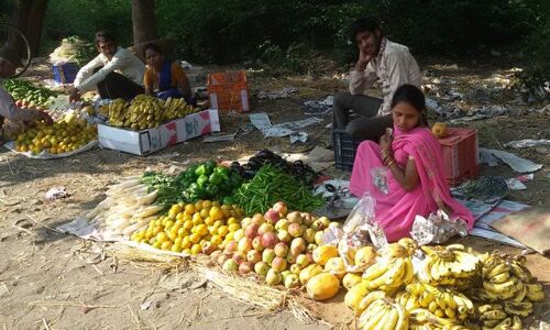 रोजी-रोटी के जुगाड़ के लिए चिलचिलाती धूप में रोज संघर्ष कर रहे मजदूर