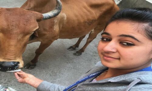 गुजरात के स्कूल में गाय के साथ सेल्फी खिंचाने का मिला होमवर्क