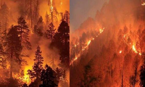 उत्तराखंड के जंगलों में भड़की भीषण आग, न मीडिया को खबर न सरकार को चिंता