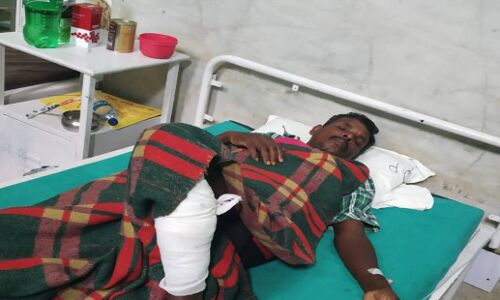 झारखंड में हिंदूवादियों ने मार डाला मृत बैल का मांस निकाल रहे आदिवासी को