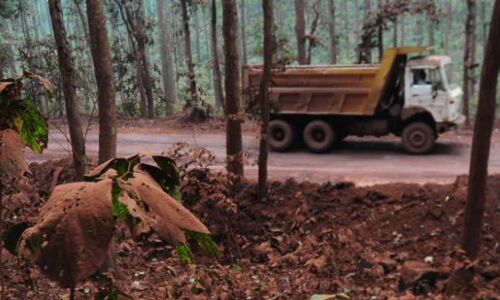 देश के फॉरेस्ट कवर पर खनन माफियाओं का हो रहा कब्जा, सरकारी रिकॉर्ड में दर्ज नहीं होते आंकड़े