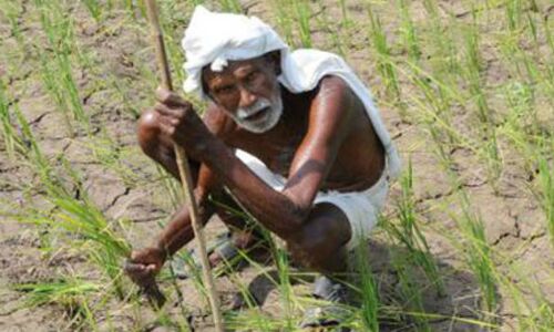 सत्ता के ये चारों शहरी पाये क्या जानें गांव के किसानों की पीर