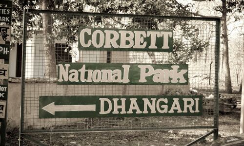 सरकार ने अदालत को बताया जिम कार्बेट पार्क क्षेत्र में 44 रिसोर्ट और होटल वालों का अतिक्रमण